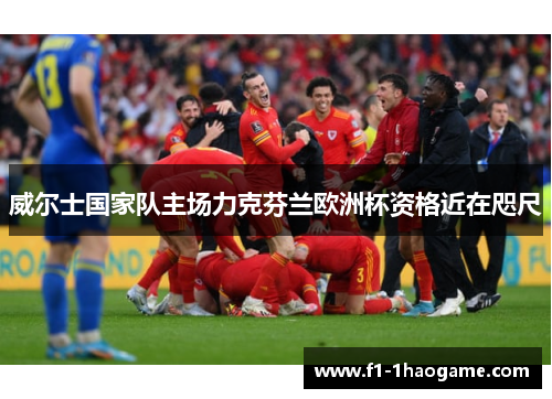 威尔士国家队主场力克芬兰欧洲杯资格近在咫尺