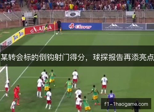某转会标的倒钩射门得分，球探报告再添亮点